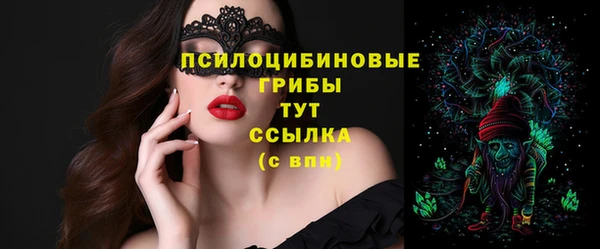 дурь Арсеньев