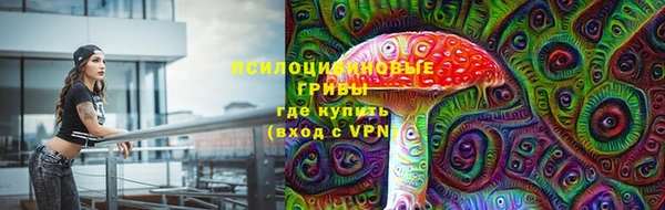 дурь Арсеньев