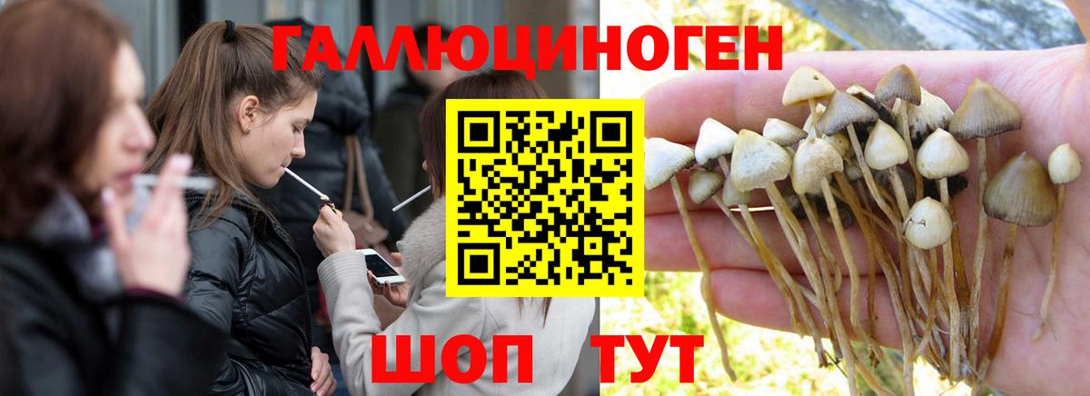 MDMA  Волхов  Лсд 25  Вход с VPN  Конопля  Гашиш  Меф МЯУ МЯУ   Кокаин 